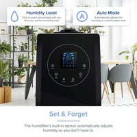 LEVOIT (6L) Humidifier for Large Room / Bedroom
